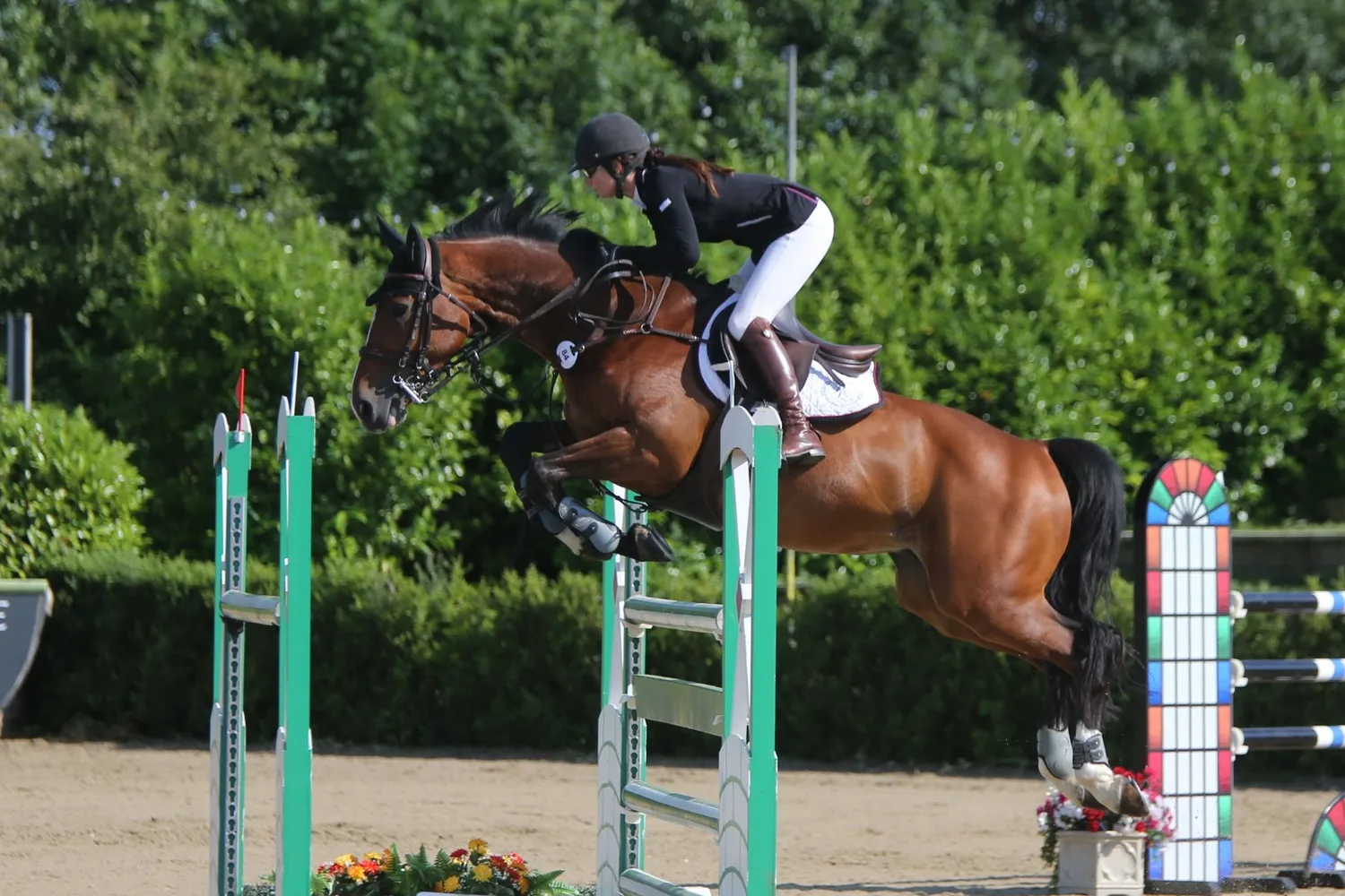 Sky High II clearing an upright at a show