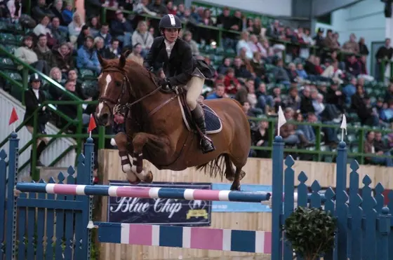 A bay horse jumping in front of a full grandstand